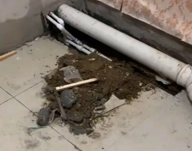东宝卫生间漏水检测哪家好