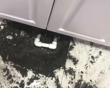 东宝查漏水哪家好